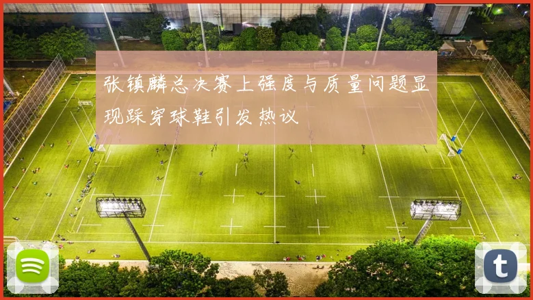 张镇麟总决赛上强度与质量问题显现踩穿球鞋引发热议