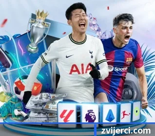 每个板块围绕一个运动项目展开 - LEYUSPORTS